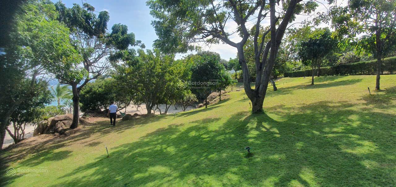 Khu đất biển Bình Lập - Cam Ranh Khánh Hòa cho resort & camping riêng tư